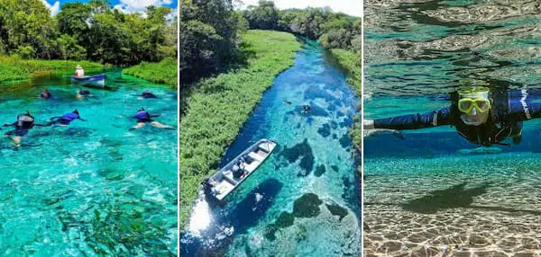 rio sucuri flutuacao em bonito ms